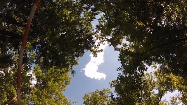 Инженерно-геофизические изыскания г.Варна 2013 (Береговое примыкание) смотреть онлайн