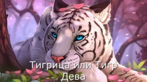 Какое ты животное по знаку зодиака?
