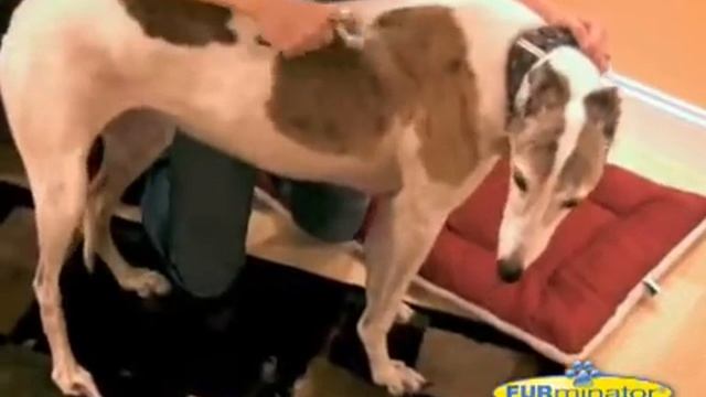 Фурминатор для кошек и собак "FURminator" смотреть онлайн