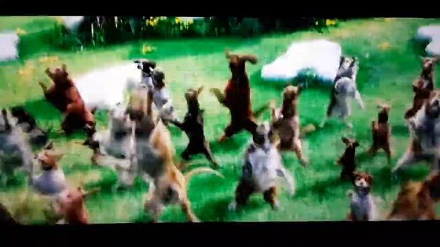 Marmaduke (2010) Dance Dogs смотреть онлайн
