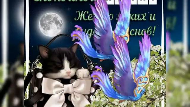 Шикарное пожелание спокойной ночи! смотреть онлайн