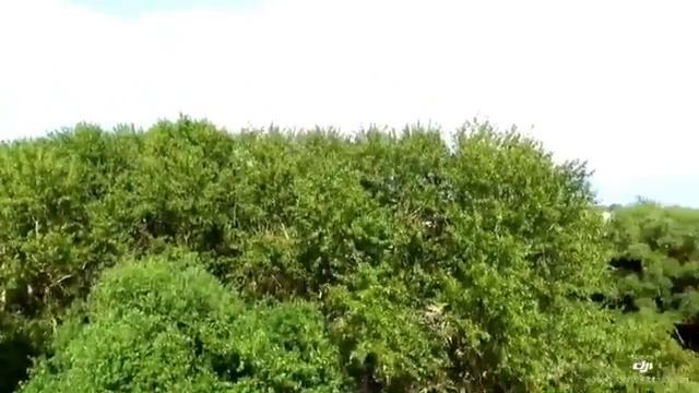 Переславль-Залесский смотреть онлайн