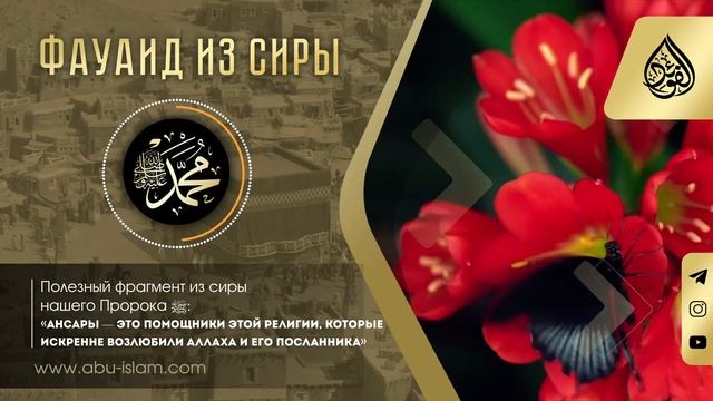 «Ансары — это помощники этой религии, которые искренне возлюбили Аллаха и Его посланника» смотреть онлайн