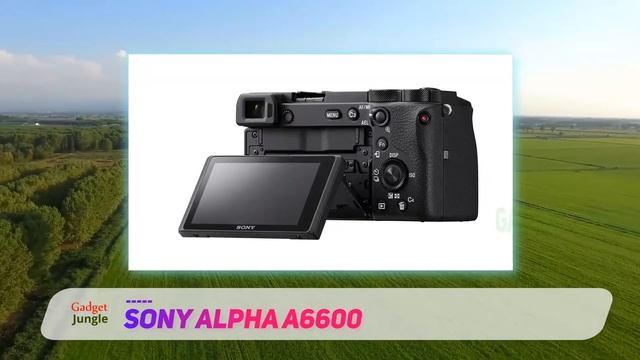 Sony Alpha A6600 Review - The Best Mirrorless Cameras in 2021 смотреть онлайн