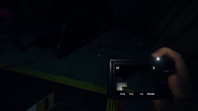 ОЧЕНЬ НЕ ФОТОГЕНИЧНЫЙ ПРИЗРАК смотреть онлайн