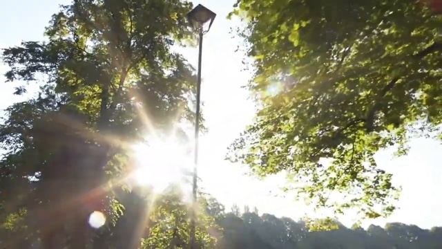 Самокат Globber GO•UP COMFORT PLAY смотреть онлайн