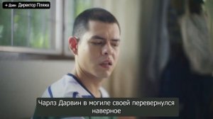 Как эволюционируют обезьяны? Тайская реклама сейчас вам покажет!