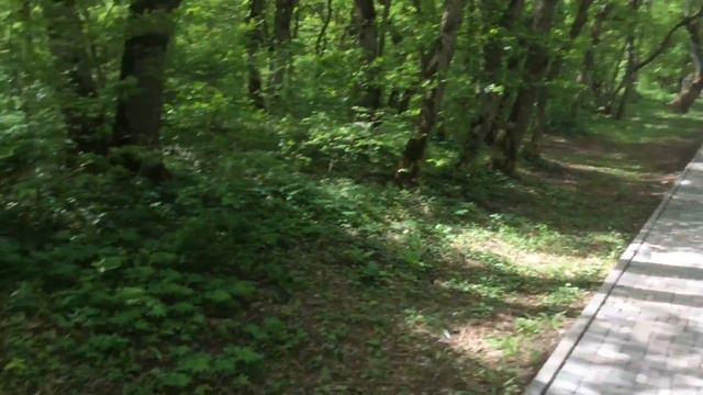 30 апреля 2016 г. смотреть онлайн