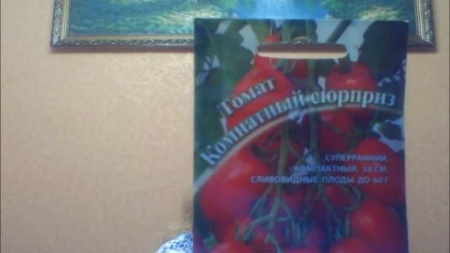 Выращивание на подоконнике!!! Помидоры и огурцы!!! смотреть онлайн