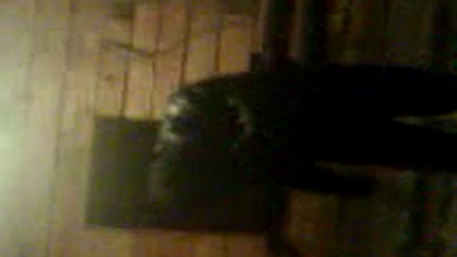 ВДВ бьёт бутылки