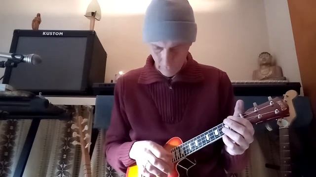 Behringer DR400 Digital Delay on soprano ukelele with shimmer - John Kremer смотреть онлайн