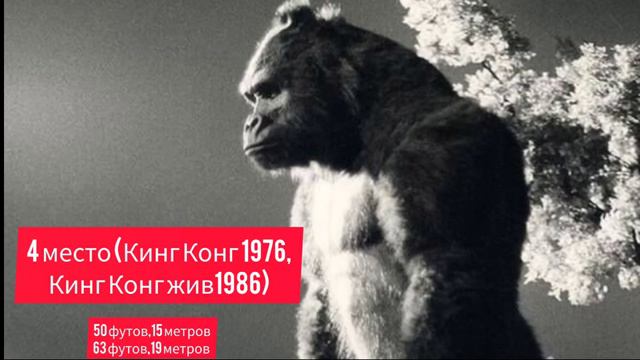 Какой Конг Самый Огромный В Фильмах ? смотреть онлайн