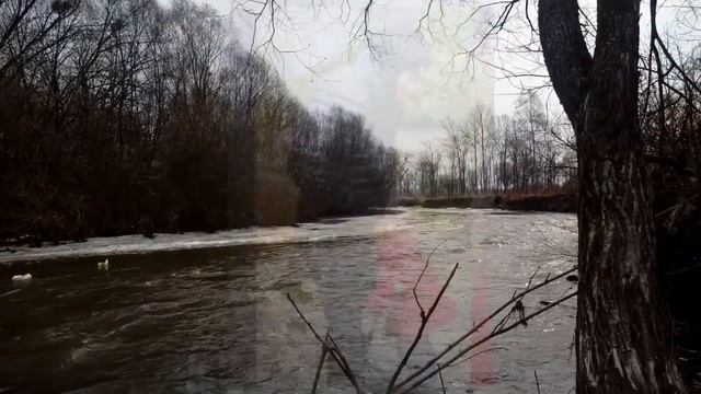 Проскурякова впервые показала Николаева после больницы без усов ! смотреть онлайн