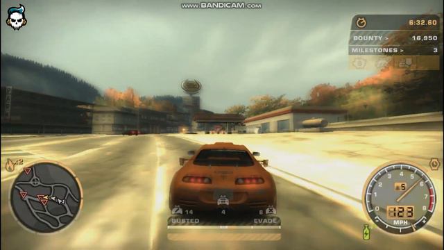 ORANGE OR BLACK SUPRA? смотреть онлайн