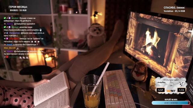 Гарри Поттер и Тайная комната 15 глава 