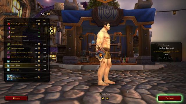 February 2024 - Trading post - Items showcase - wow Dragonflight - 4K (2) (better graphic) смотреть онлайн