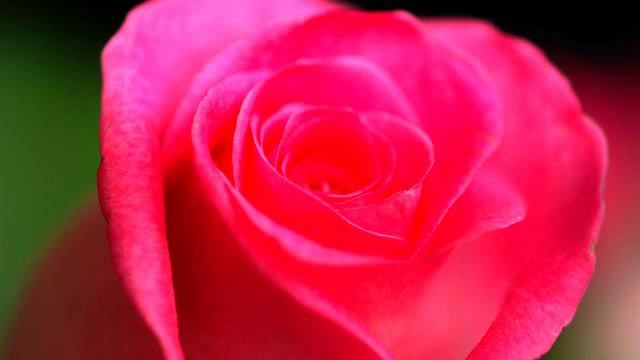 Слушать хорошую русскую музыку для сна в отличном... смотреть онлайн