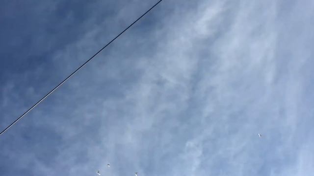 Белые Бакинцы на Посадке. смотреть онлайн