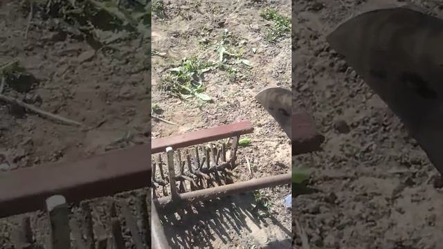 Використання зірочок як боронки до плуга мт мотор січ 6д смотреть онлайн