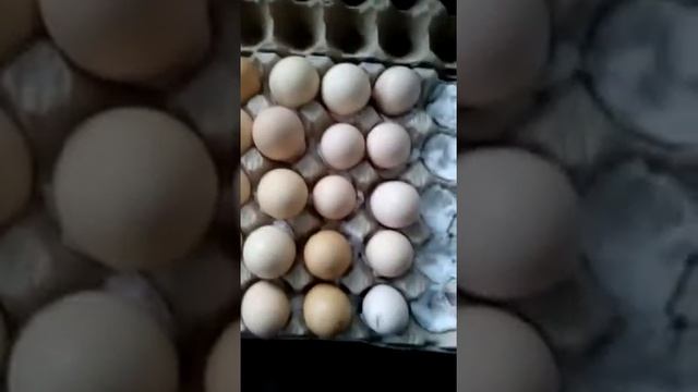 Посылка дошла до адресата смотреть онлайн