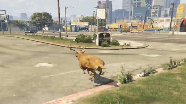 где найти кактус в гта5