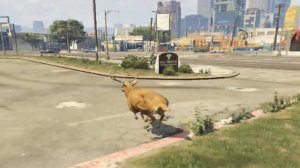 где найти кактус в гта5