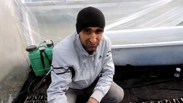 ??Всходы Арбузов и Дыни - 12 Гибридов в Кассетах смотреть онлайн