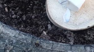 Пули "Фантом" для пневматики 4.5мм.Смотр.