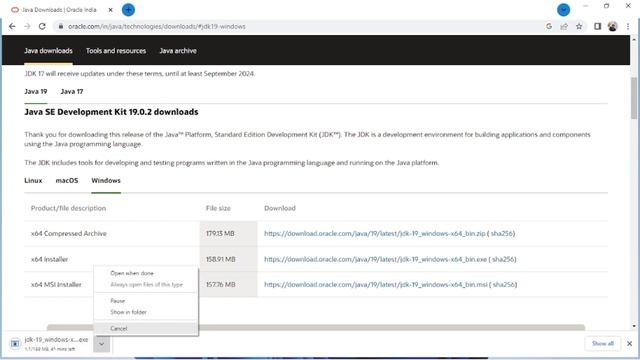 How to Install Java JDK 19.0.2 on Windows 11 смотреть онлайн