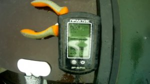 Сом на квок в дождливую погоду #рыбалка #сом #квок