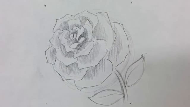 Sketching and Shading a Rose with Pencils (Voice) смотреть онлайн