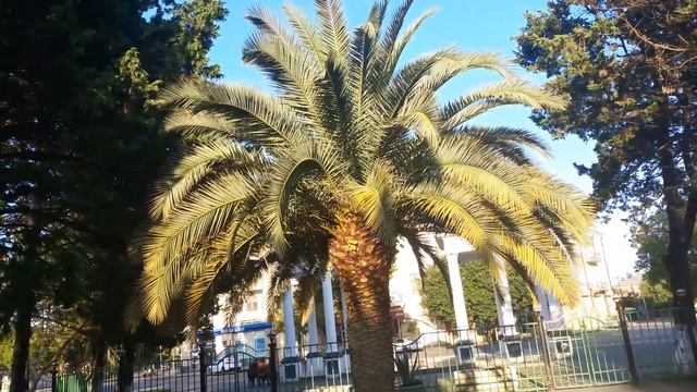 Грузия г. Поти . Город детства . смотреть онлайн