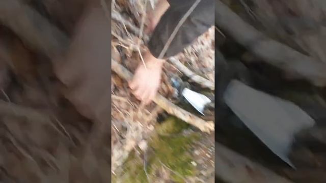 Как правильно добывать березовый сок.Как мы добываем.Часть 1. смотреть онлайн