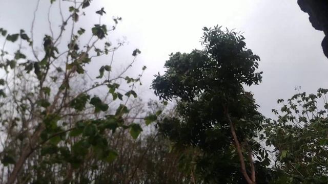 rainstorm in Java смотреть онлайн
