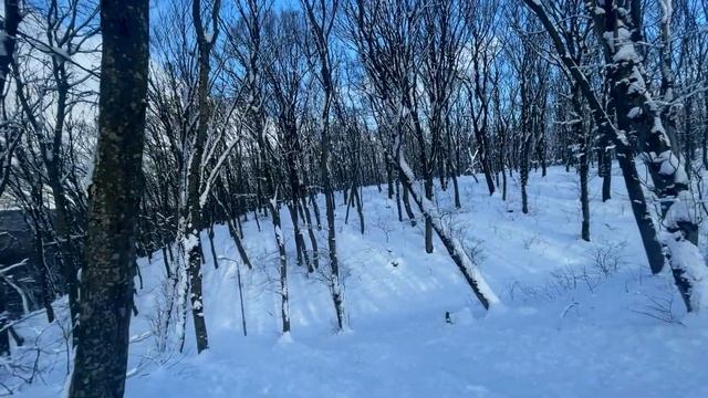Прогулка по Ставрополю | Вперед и вниз на Холодные родники! смотреть онлайн