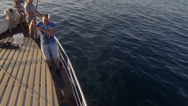 ЯЛТА РЫБАЛКА ЧЕРНОМОРСКИЙ ЛУФАРЬ /Крым смотреть онлайн