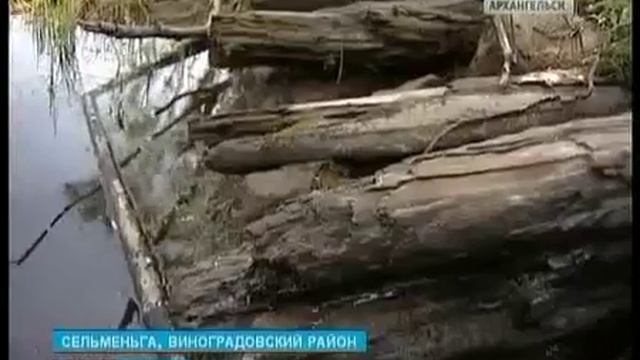 Жителям Виноградовского района необходим мост через Сельменьгу смотреть онлайн