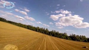 Моя невеста