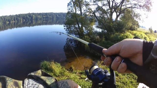 Рыбалка на донки,ловля леща,ночная рыбалка,ловля на резинку,насадка сало,насадка пенопласт,31август