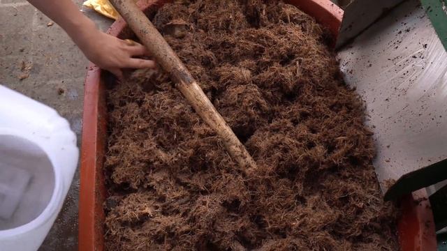 Kudzu Root Tea Healthy Drink Korean Street Food