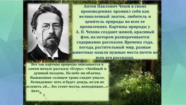 "Лес глазами писателя". Видеопрезентация к Всемирному дню леса. Городская библиотека 2 смотреть онлайн