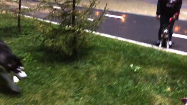 Макс и Хати