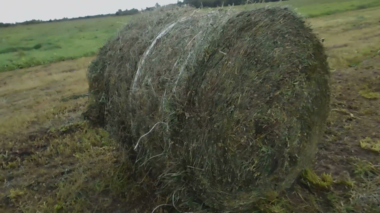 Как парит мозги шпагат на CLAAS 46 Сенокос 2021.Мотаем атаву на сенаж! смотреть онлайн