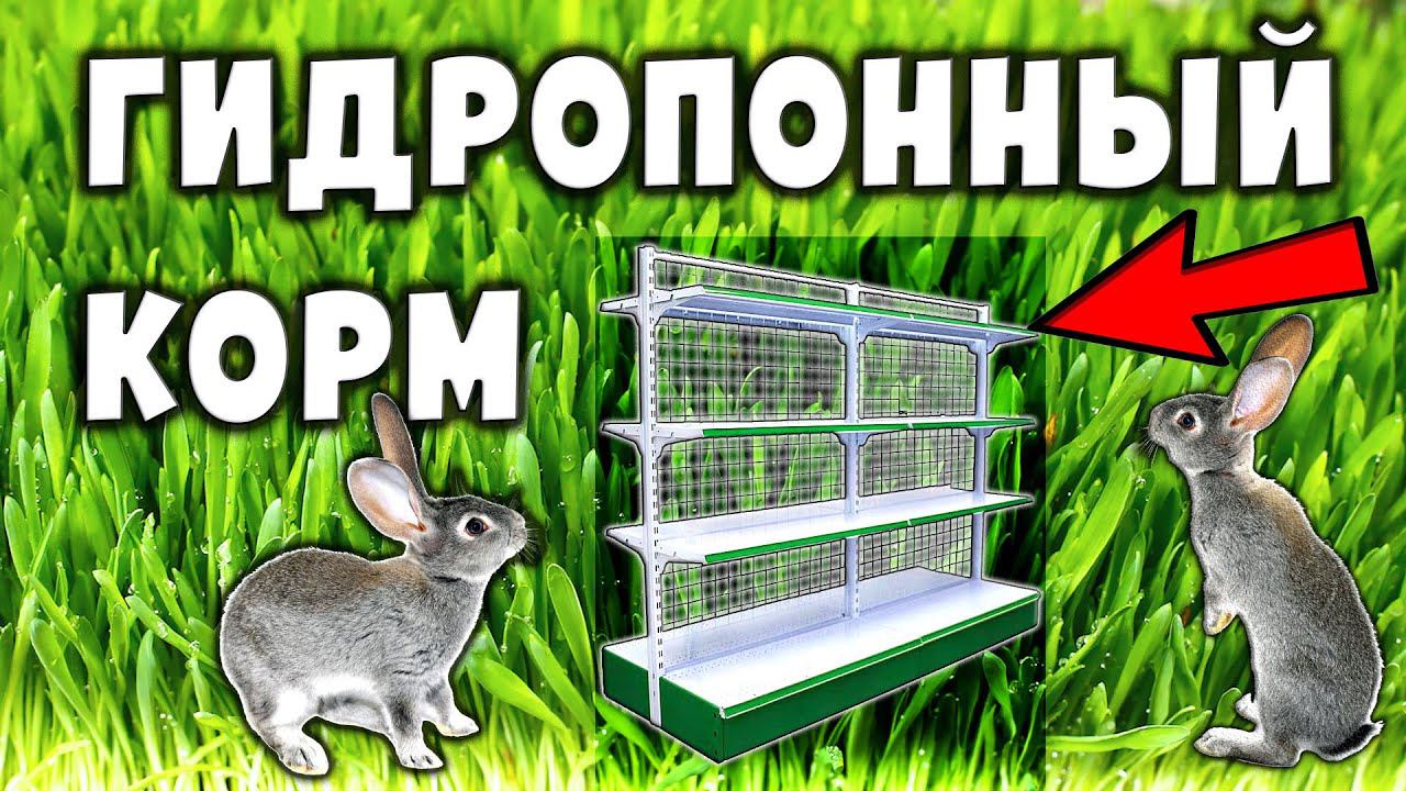 ГЗК установка своими руками / Гидропоника для кроликов смотреть онлайн