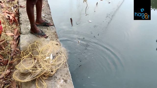 ഈ ഒരു വലയിൽൽ ഇത്ര അധികം മീനോ l Net fishing l Kerala style Net fishing смотреть онлайн