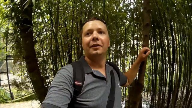 Ялта. Зоопарк. Часть 16 смотреть онлайн