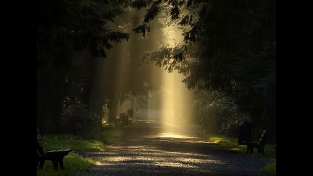 Лесная красота и море позитива смотреть онлайн