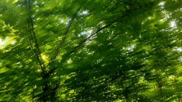 Эти четыре знака Зодиака среди мужчин считаются самыми сильными смотреть онлайн