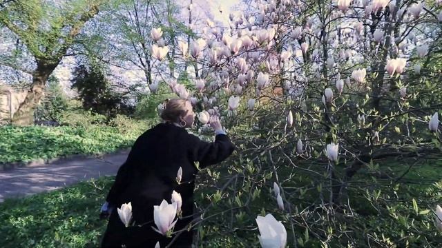 Русская Европа: куда сходить и что посмотреть в Калининграде? смотреть онлайн