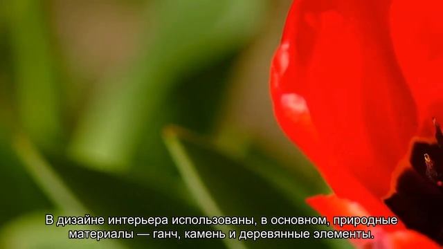 О мечети Кул-Шариф в Казани: адрес, режим работы, правила посещения смотреть онлайн